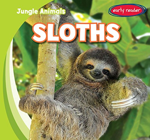 Sloths by Rob Ryndak