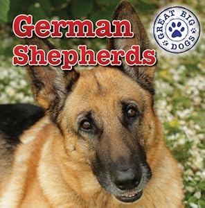 German Shepherds