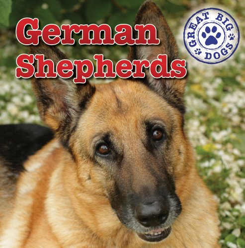 German Shepherds by Kristen Rajczak