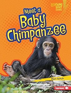 Meet a Baby Chimpanzee