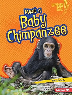 Meet a Baby Chimpanzee