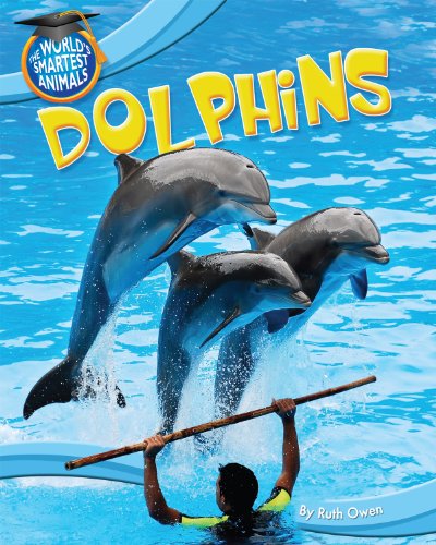 Dolphins by Ruth Owen