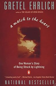 A Match to the Heart: One Woman's Story of Being Struck By Lightning