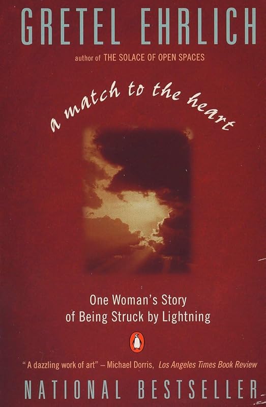 A Match to the Heart: One Woman's Story of Being Struck By Lightning by Gretel Ehrlich