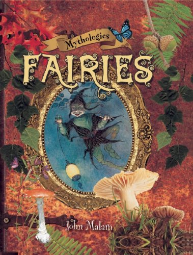 Fairies by John Malam