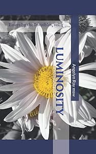 Luminosity: Essays by the Invisibles Vol. 5 by Angelyn Ray msw