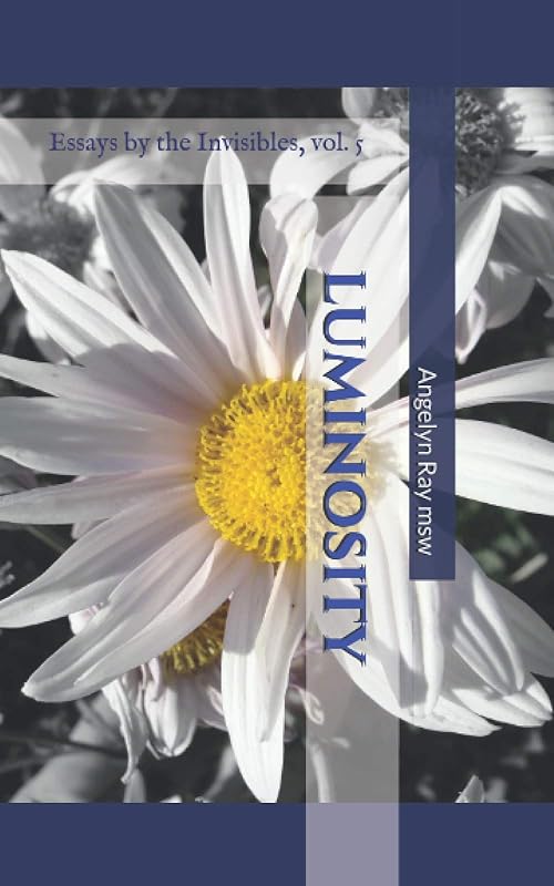 Luminosity: Essays by the Invisibles Vol. 5 by Angelyn Ray msw