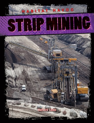 Strip Mining by Barbara Linde