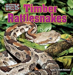 Timber Rattlesnakes