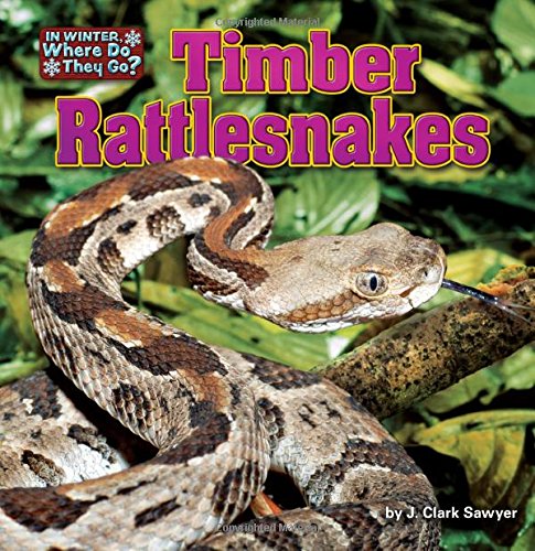 Timber Rattlesnakes by J. Clark Sawyer