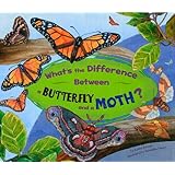 What's the Difference Between a Butterfly and a Moth?