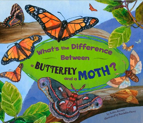 What's the Difference Between a Butterfly and a Moth? by Robin Koontz