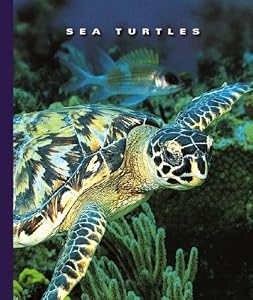 Sea Turtles (World of Reptiles)