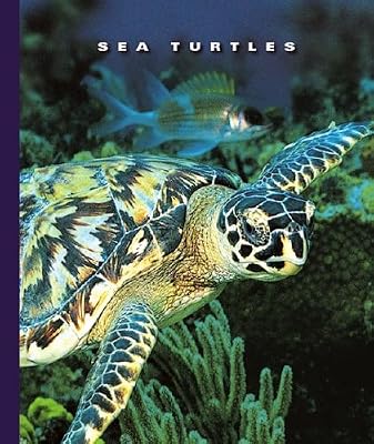 Sea Turtles (World of Reptiles)