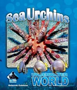 Sea Urchins