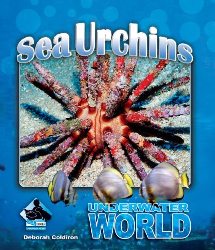 Sea Urchins by Deborah Coldiron