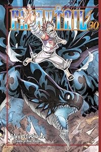 Fairy Tail 30