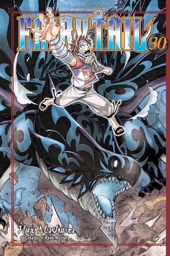 Fairy Tail 30 by Hiro Mashima