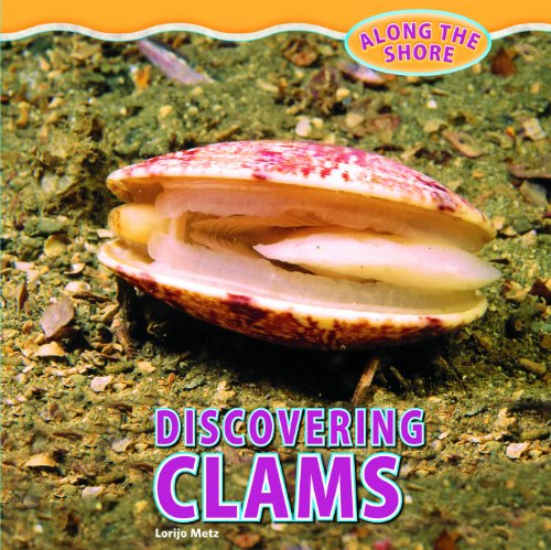 Discovering Clams by Lorijo Metz