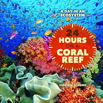 24 Hours on a Coral Reef