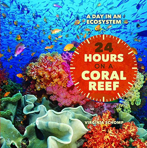 24 Hours on a Coral Reef by Virginia Schomp