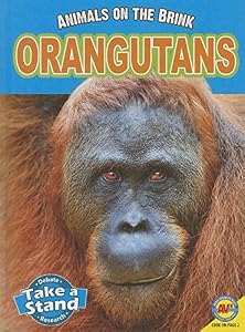 Orangutans by Patricia Miller-Schroder