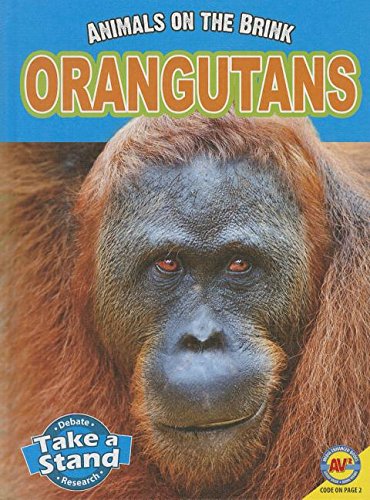 Orangutans by Patricia Miller-Schroder