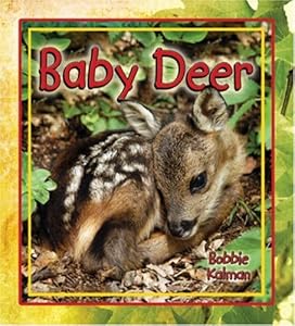 Baby Deer (It's Fun to Learn about Baby Animals)