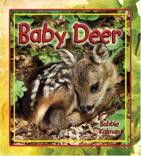Baby Deer (It's Fun to Learn about Baby Animals) by Bobbie Kalman