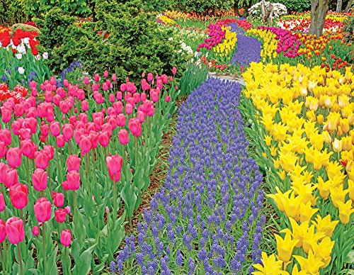 Springbok Trail of Blooms Jigsaw Puzzle, 500-Piece