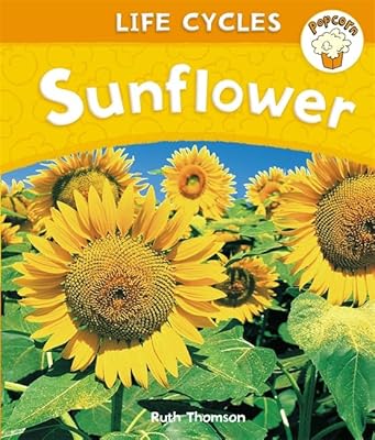 Popcorn: Life Cycles: Sunflower