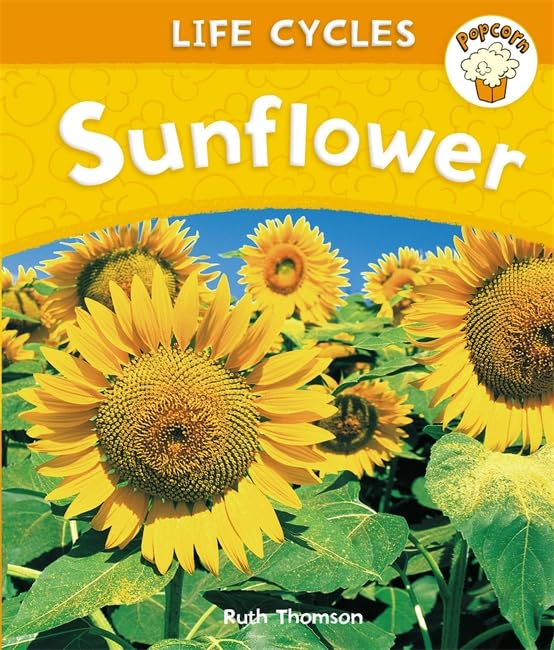 Popcorn: Life Cycles: Sunflower by Ruth Thomson