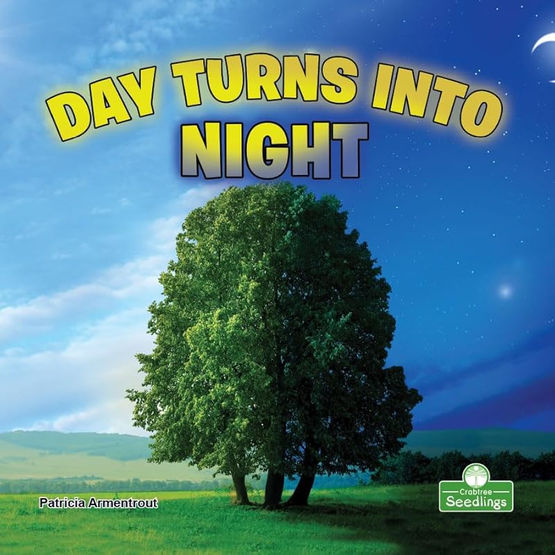Day Turns into Night (My First Science Books) by Patricia Armentrout