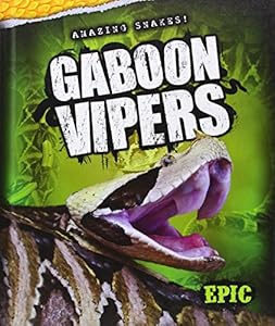 Gaboon Vipers by Chris Bowman