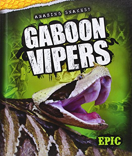 Gaboon Vipers by Chris Bowman