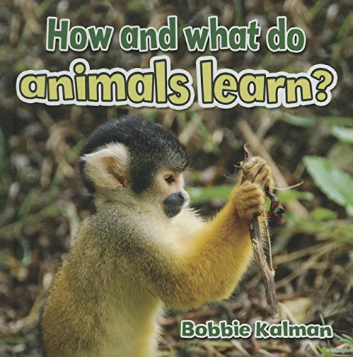 How and What Do Animals Learn? by Bobbie Kalman