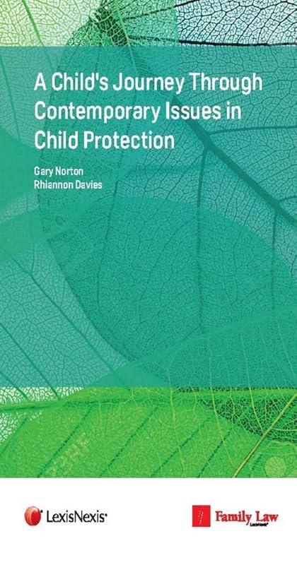 A Child's Journey Through Contemporary Issues in Child Protection by Rhiannon Davies