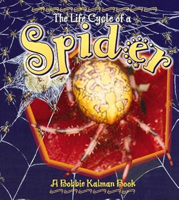 Spider (Life Cycle of A...)