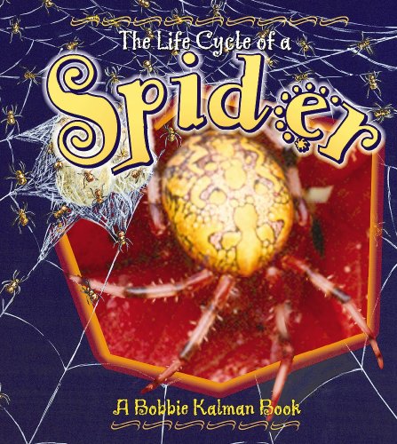 Spider (Life Cycle of A...) by Bobbie Kalman