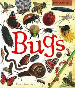 Bugs (Qeb Wildlife Watchers)
