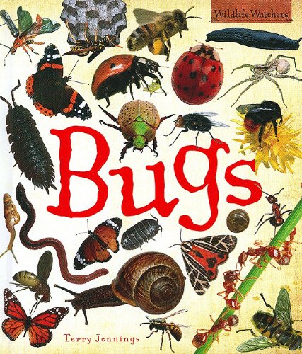 Bugs (Qeb Wildlife Watchers) by Terry Jennings