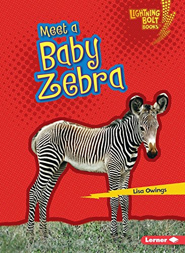 Meet a Baby Zebra by Lisa Owings