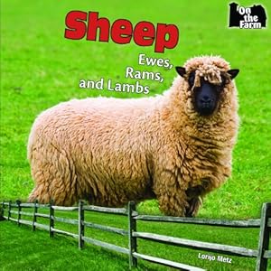 Sheep: Ewes, Rams, and Lambs