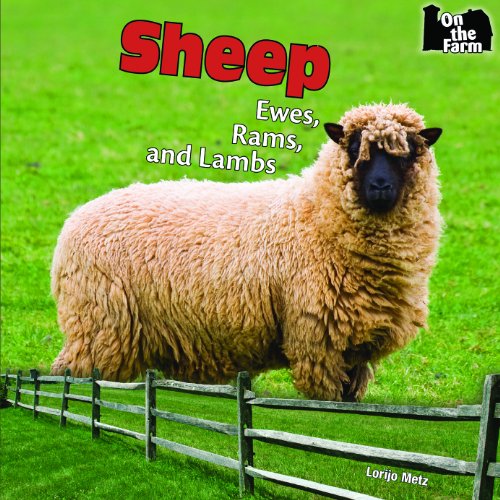 Sheep: Ewes, Rams, and Lambs by Lorijo Metz