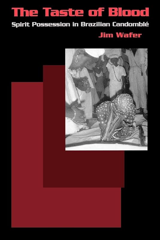 The Taste of Blood: Spirit Possession in Brazilian Candomble (Contemporary Ethnography) by Jim Wafer