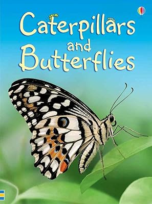 Caterpillars and Butterflies (Beginners Nature, Level 1)