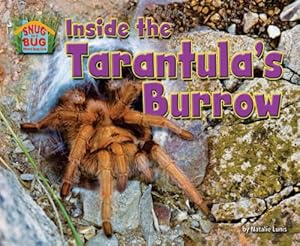 Inside the Tarantula's Burrow