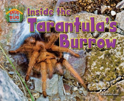 Inside the Tarantula's Burrow by Natalie Lunis