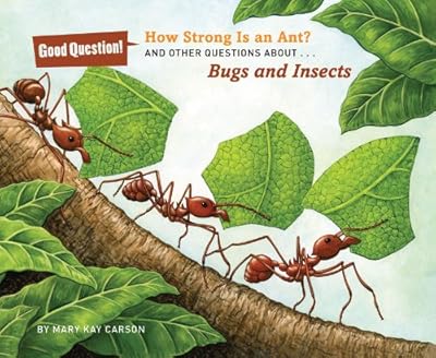 How Strong Is an Ant?: And Other Questions about Bugs and Insects