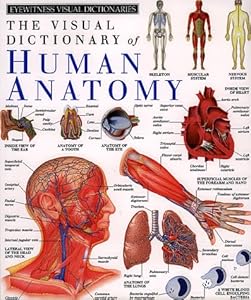 Human Anatomy (DK Visual Dictionaries)
